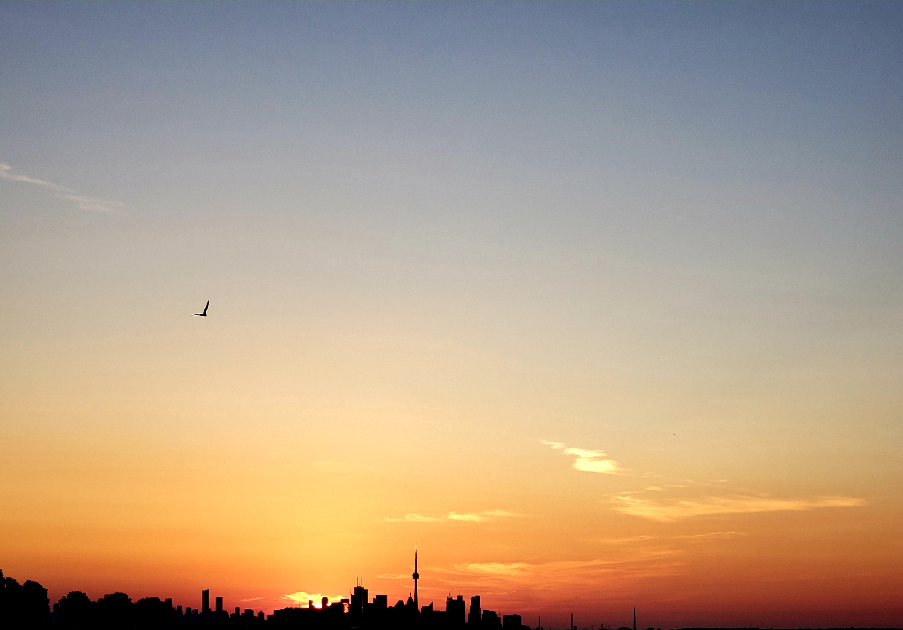 toronto_skyline_img